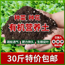 超低价种花种菜土有机营养土30斤通用型盆栽专用花泥土壤绿植花肥