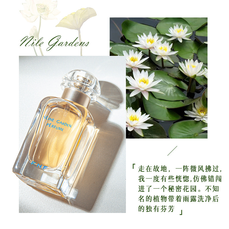 Oddis ODDIS Roof Garden Perfume Authentic Product Wholesale Fresh Floral Fragrance Lasting Fragrance Perfume 50ml