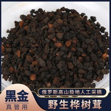 俄罗斯桦树茸进口野生正品桦褐孔菌白桦树茸黑金批发正品包邮