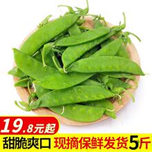 新鲜荷兰豆5斤 现摘甜豌豆荚云南农家自种当季时令蔬菜脆豆角包邮