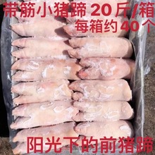 猪蹄 生猪脚冷冻新鲜带筋小香猪爪前手烧烤20斤/约33-40个批商用
