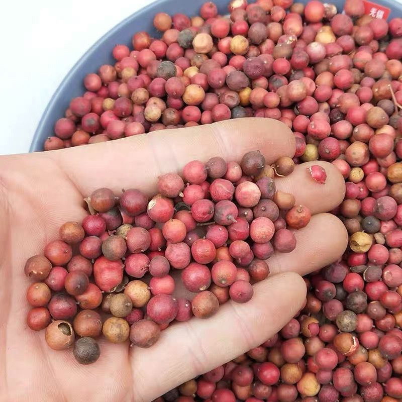 天竺子中药材 天烛子 野生 南天竺子 天竹子 生晒干货 包邮-阿里巴巴