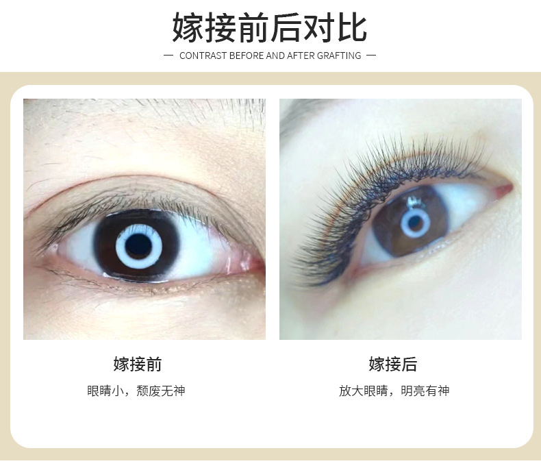 跨境密排八叶草睫毛大容量8d开花嫁接睫毛自然浓密欧美假睫毛批发