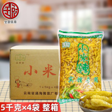 品香斋 小米辣5kg*4袋 整箱 云南产野山椒泡椒凤爪腌制酸辣菜老坛