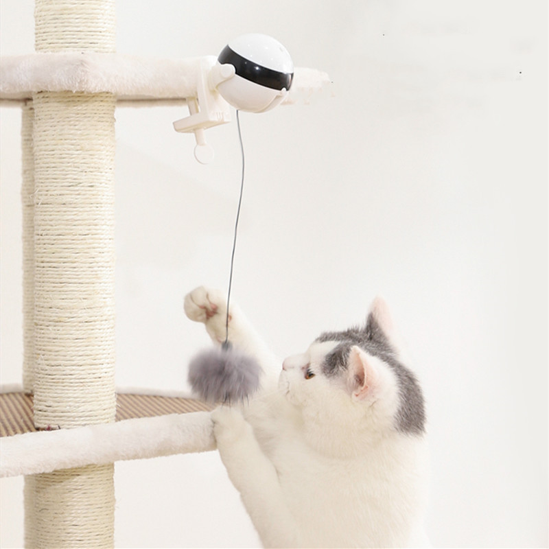 Amazon Zihi Funny Cat New Electric Cat Toy Electric Lifting Ball Toy Interactive Cat Toy Pet