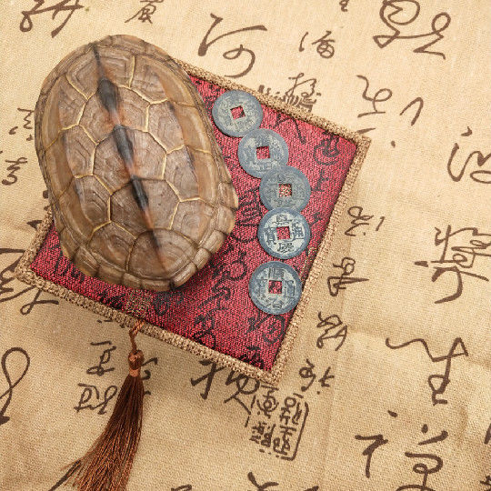 44成交1件天然真龟壳手工雕刻字龟甲周易摇卦六爻三