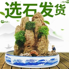 吸水石盆景上水石原石假山石头天然微景观造景奇石观赏石盆景批发