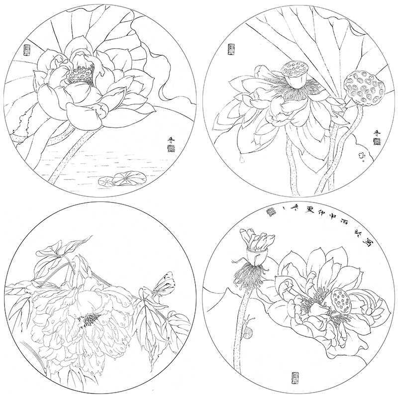 ty02杨冬冬工笔画白描底稿荷花一套四幅初学者原大尺寸35×35厘米