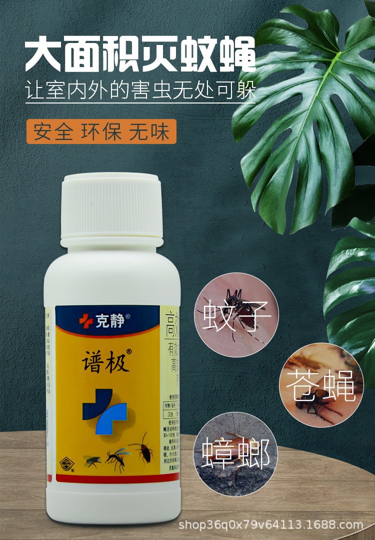 国光克静室内户外无味苍蝇药蟑螂药蚊子药花园灭蚊长效卫生杀虫剂