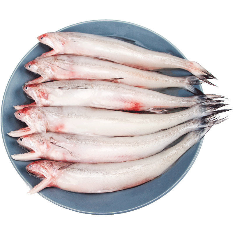 5斤顺丰包邮 新鲜龙头鱼豆腐鱼 舟山海鲜鲜活冷冻冰鲜九肚鱼批发