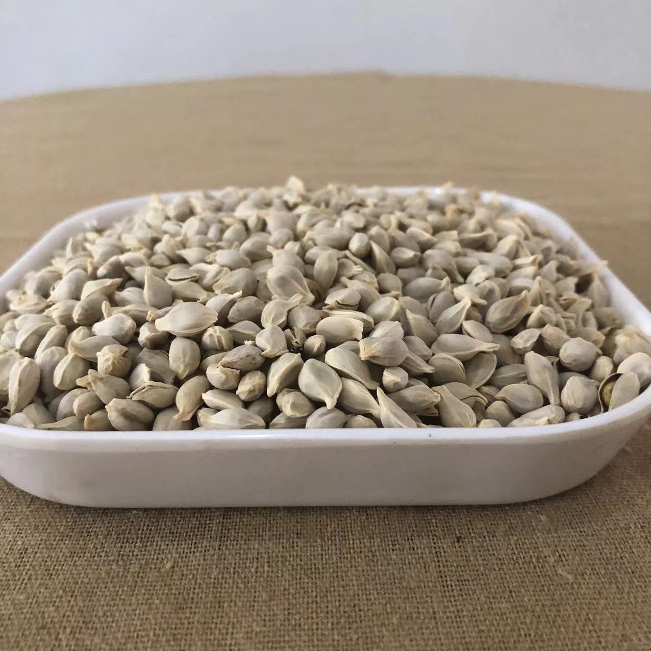 橘核现货批发中药材橘核 橘子仁 橘米实物拍摄 量大价优代磨粉