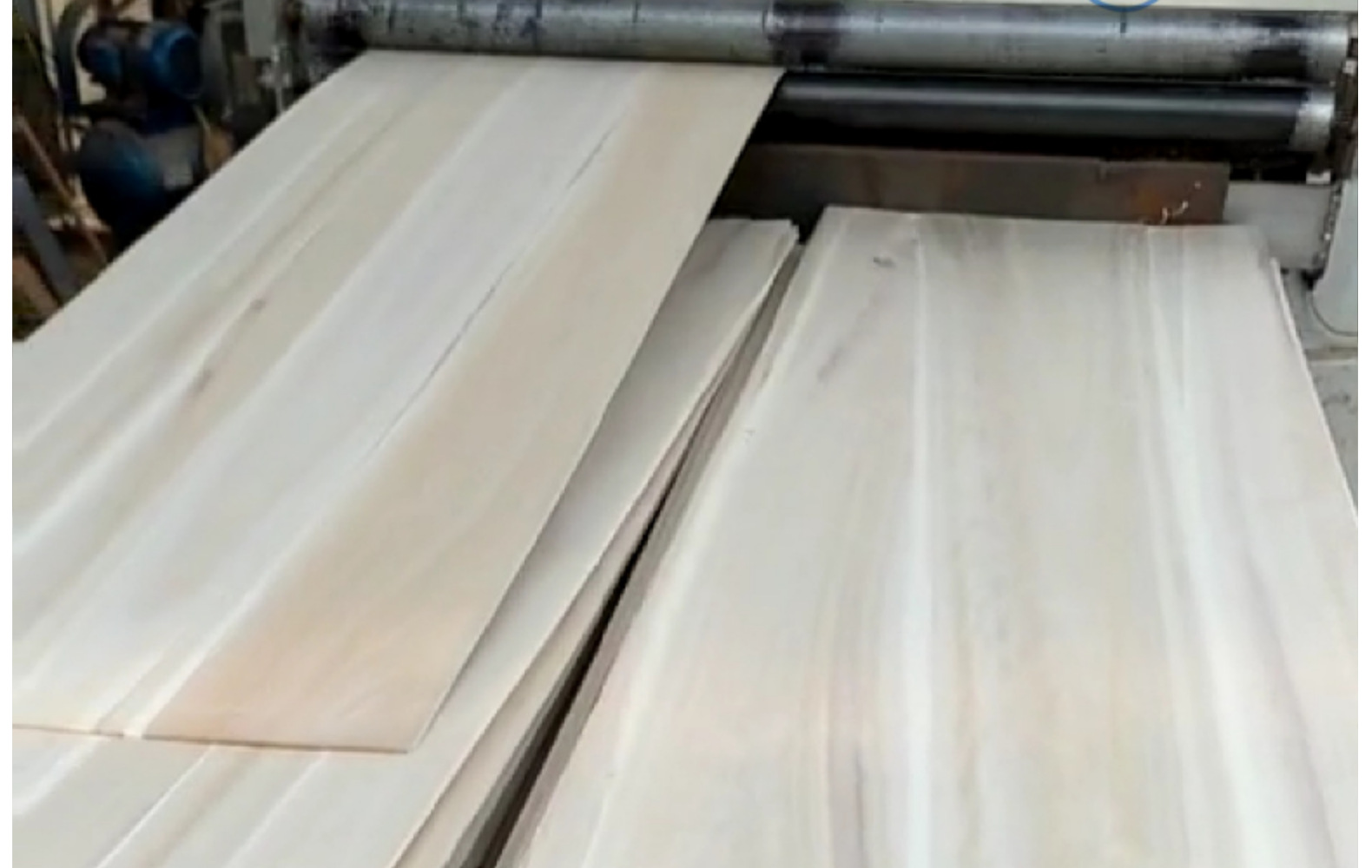 厂家直销黄杨直拼板 美国黄杨木拼板实木线条 黄杨实木薄片