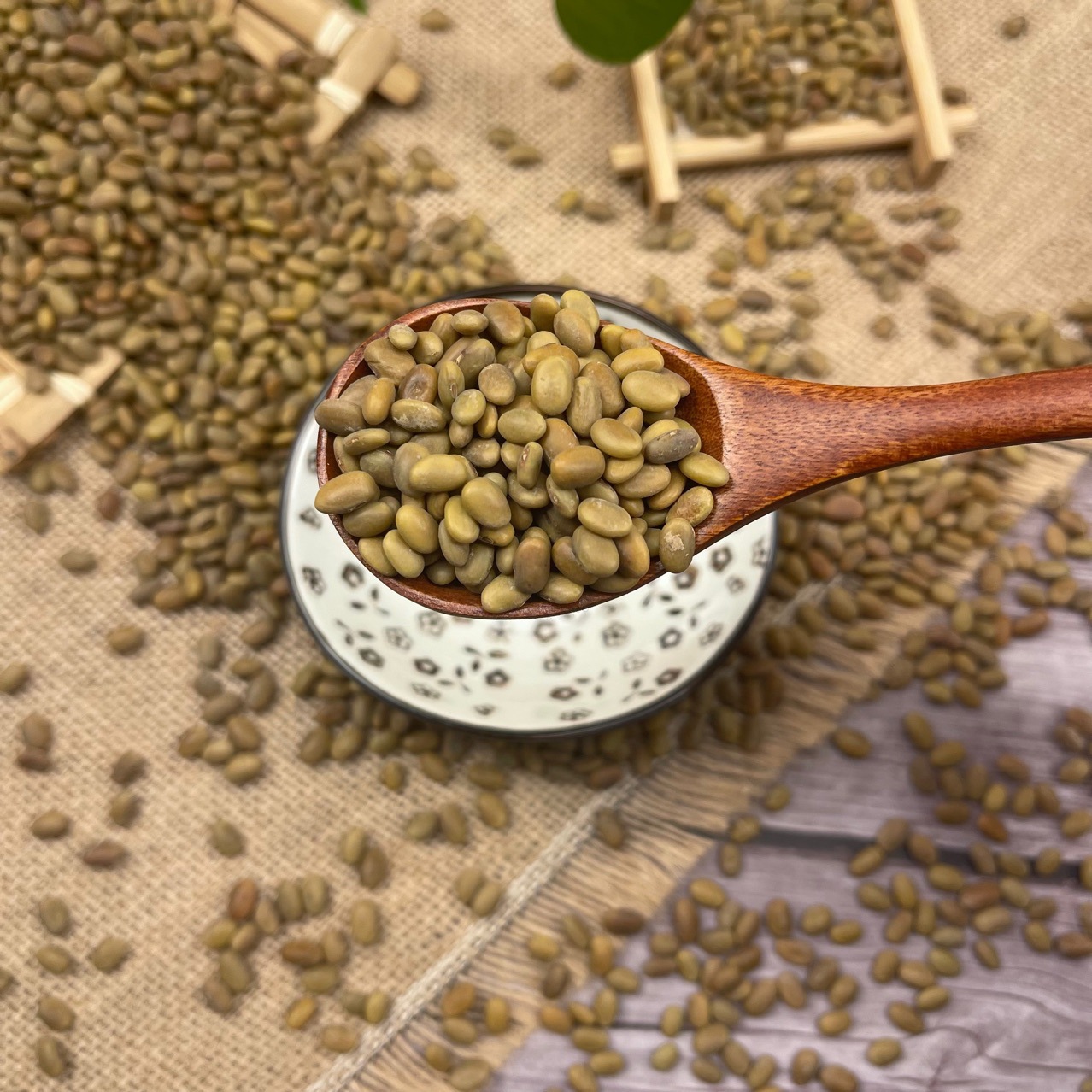 批发 茶豆种子芽苗菜种子水培蔬菜 种植茶豆芽 豆苗用可代替黑豆