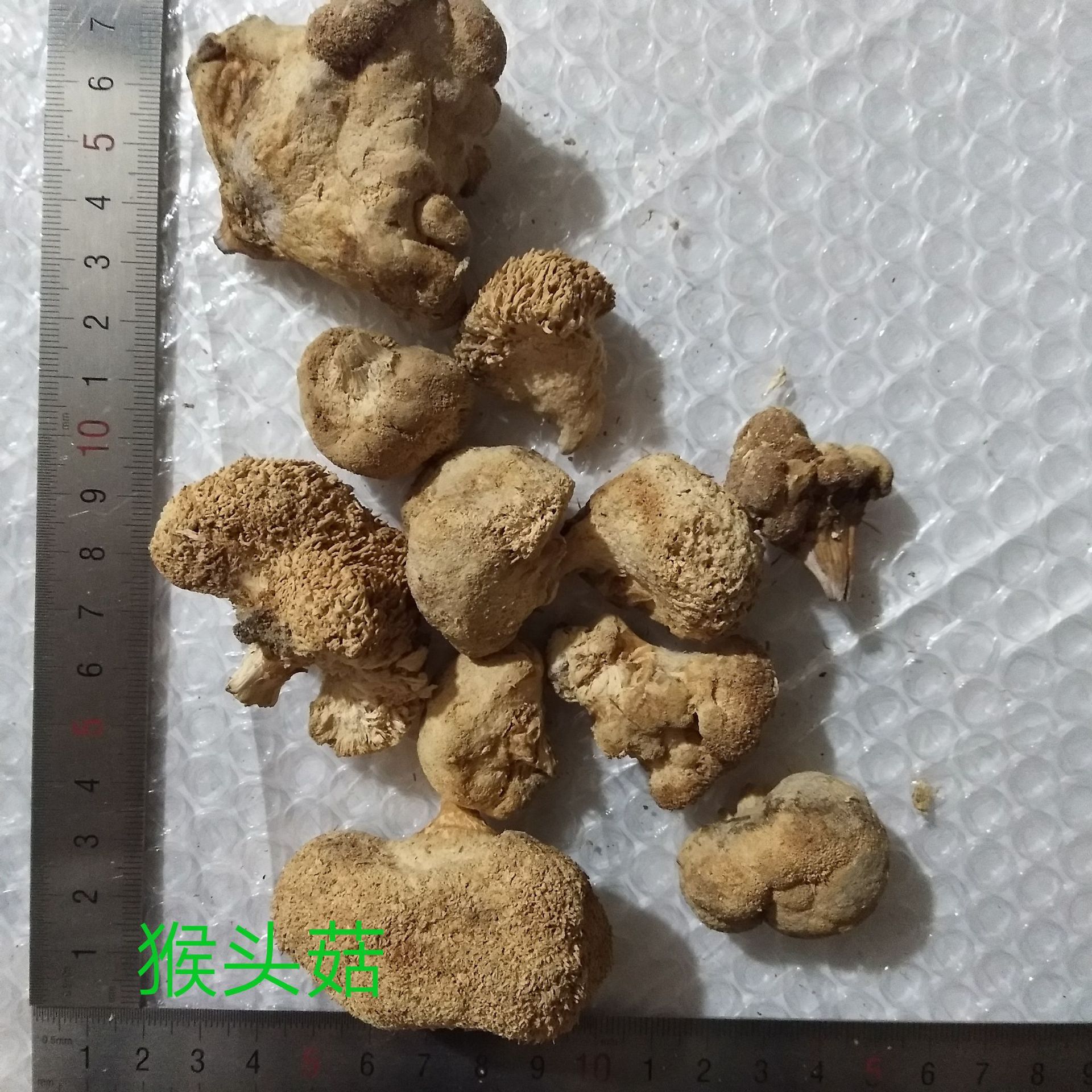 冷背药材原料/提取物原料欢迎咨询:18792828219【品  名】猴头菇【英