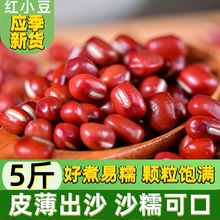 红豆新豆5斤东北农家新鲜五谷杂粮赤豆高出沙易煮红小豆新货豆子