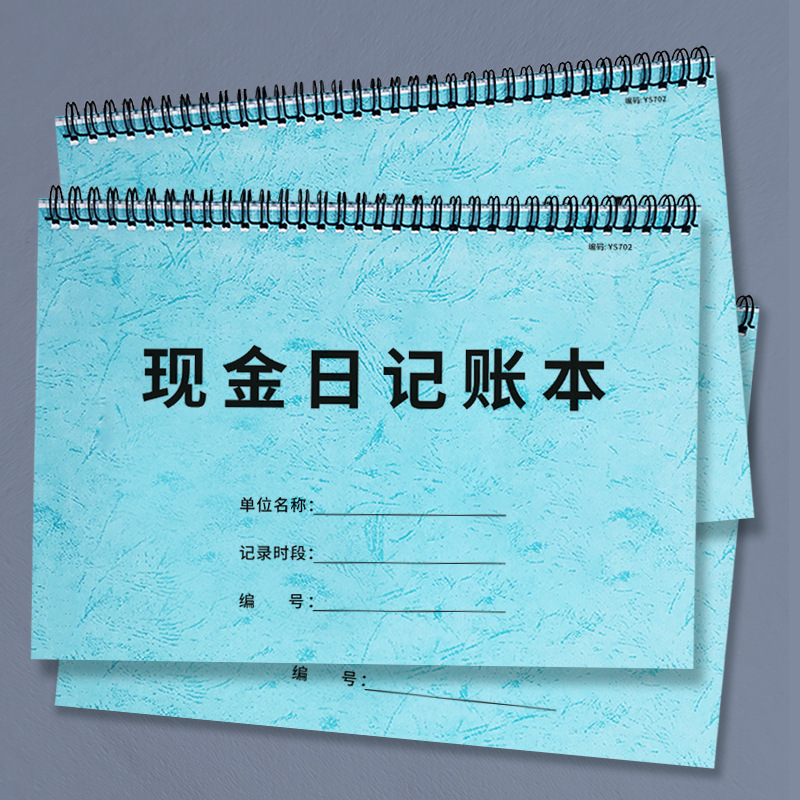 现金日记账本财务管理现金手账本会计现金每日登记本每日收入支出