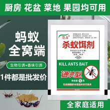 厂家批发蚂蚁药家用全窝厨房菜地小蚂蚁杀蚁饵剂花盆强效灭蚁清