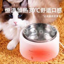 猫咪水碗酸奶机喝水家用小型宠物恒温饮水机多功能DIY20w厂家直销