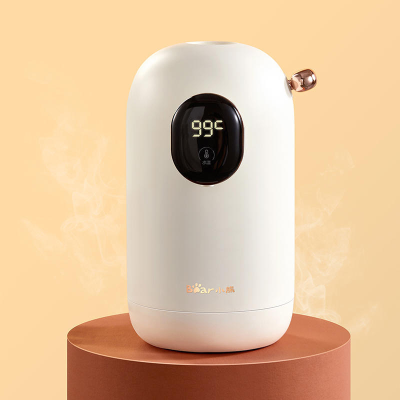 Portable Instant Hot Water Dispenser