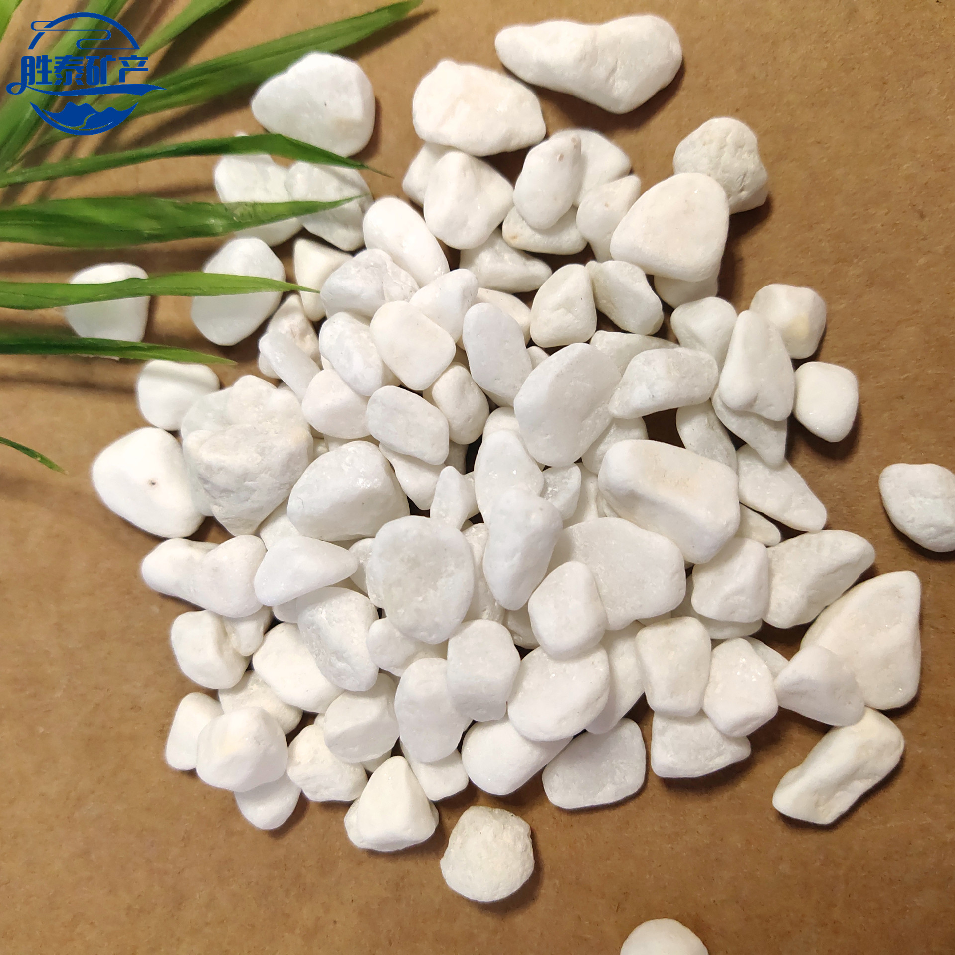 白色鹅卵石 雪花白 多肉盆栽铺面机制鹅卵石 造景铺路装饰小石子