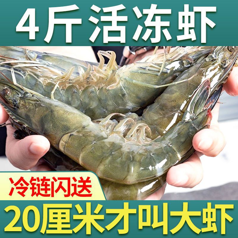 冰鲜部族青岛大虾虾子鲜活新鲜海鲜特大号3斤 基围虾水产冻虾批发