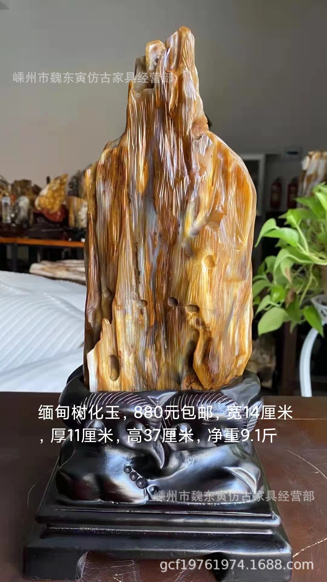 树化玉原石图片极品图片