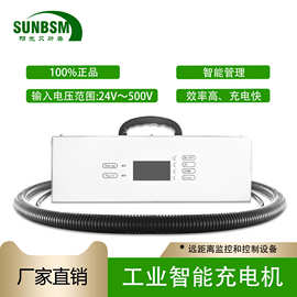 叉车搬运车船用无人机旅游观光车铅酸锂电池充电机充电器Charger