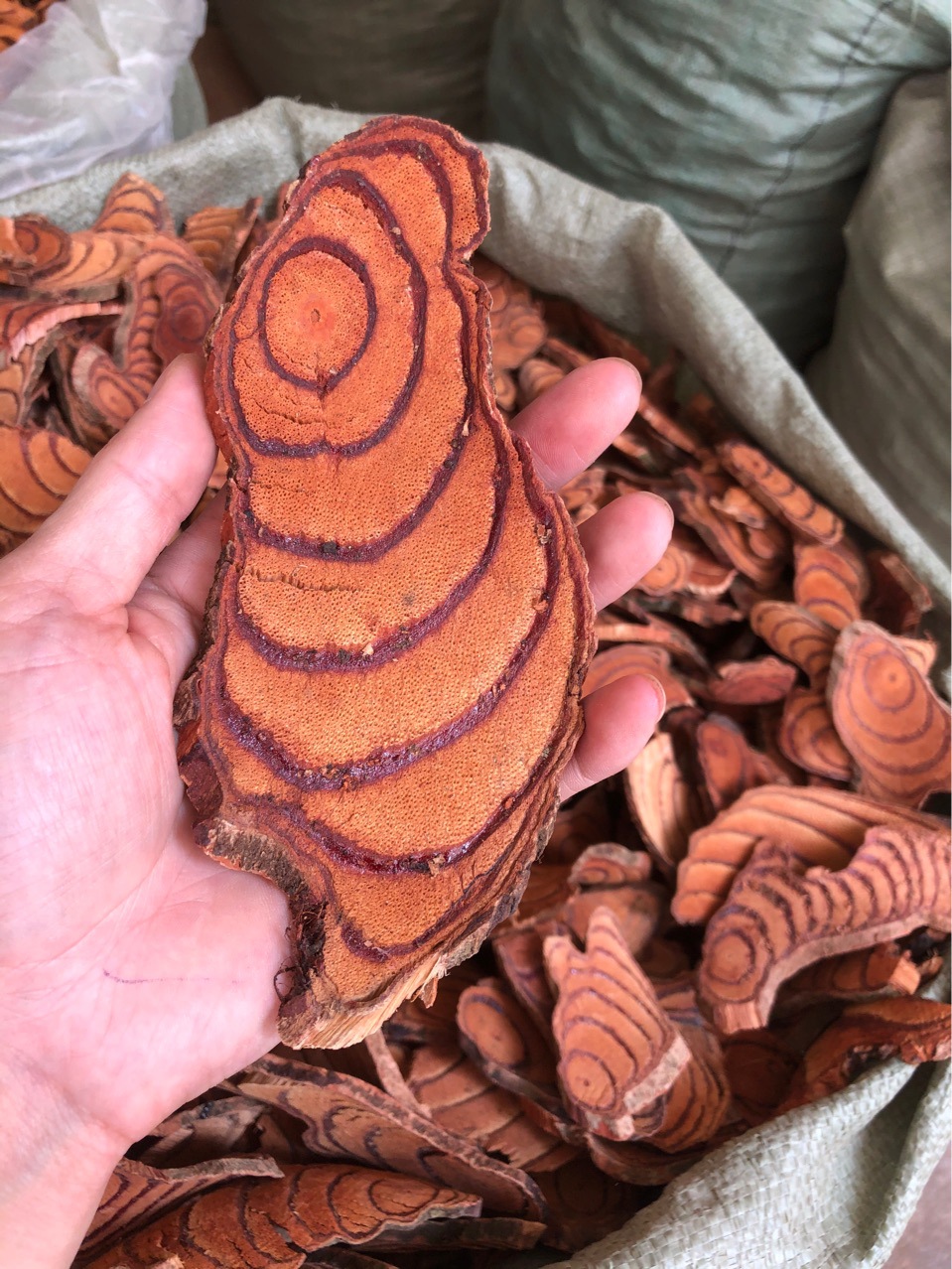 中药材鸡血藤血风藤