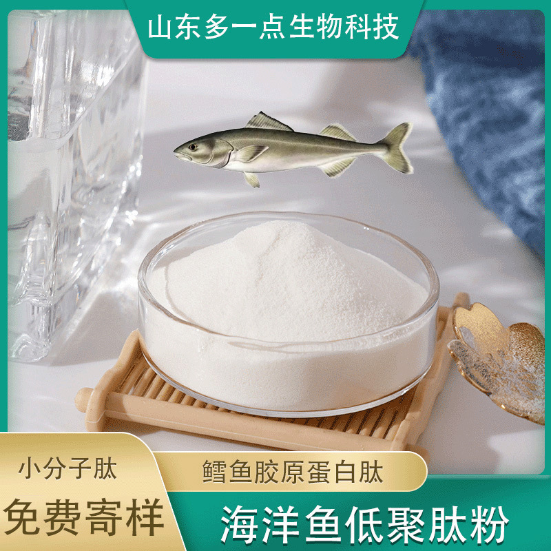 鱼皮胶原蛋白肽 厂家现货批发99%小分子活性肽海洋鱼低聚肽粉￥220