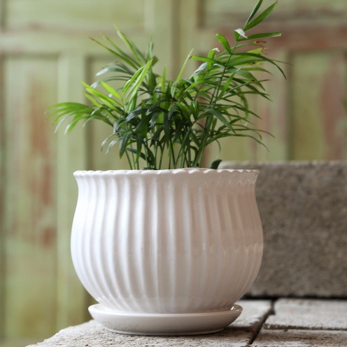 陶瓷花盆批发带托盘大号特大号清仓室内绿萝吊兰多肉花盆创意个性