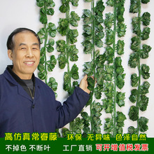 仿真绿植藤条常春藤常青藤条户外绿萝叶藤蔓绿叶植物室内装饰藤条