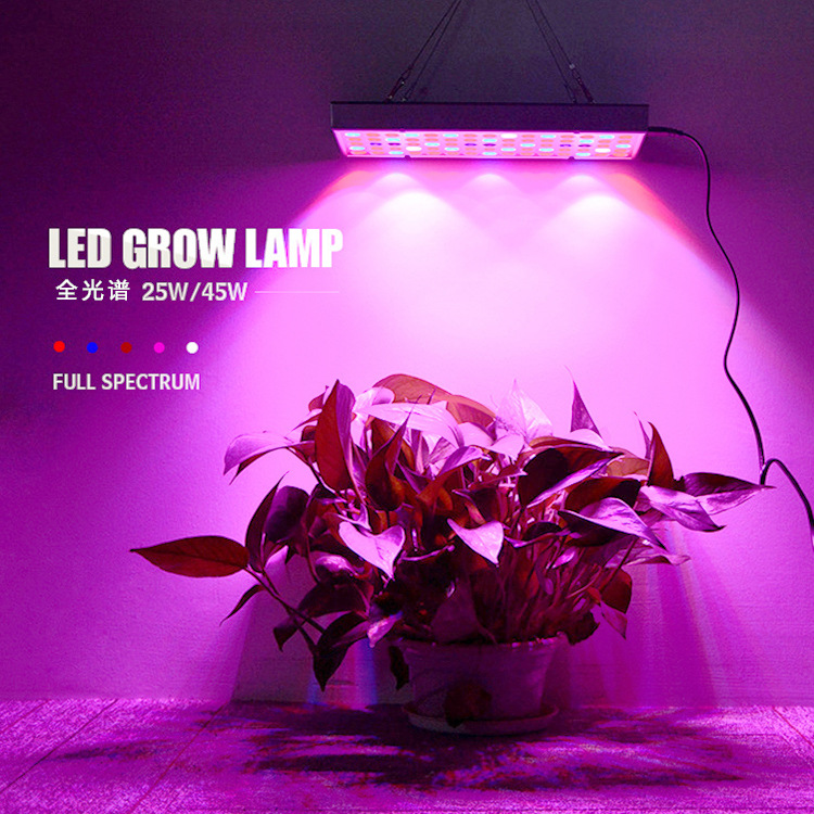 Fairy Cow Led Plant Growth Lamp Full Spectrum Indoor Fill Light Greenhouse Growth Lamp Factory Greenhouse Balcony Seedling