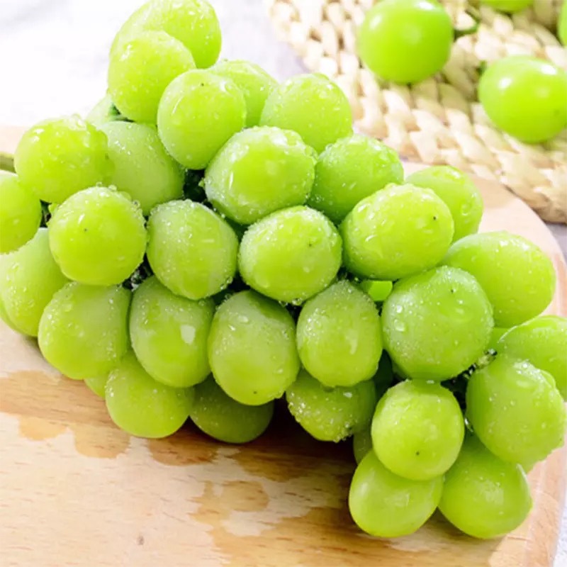 顺丰空运云南香印青提 阳光玫瑰葡萄 晴王无籽提子新鲜当季水果