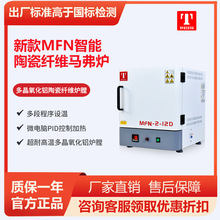 天津泰斯特马弗炉电阻炉陶瓷纤维炉灰化炉实验设备MNF