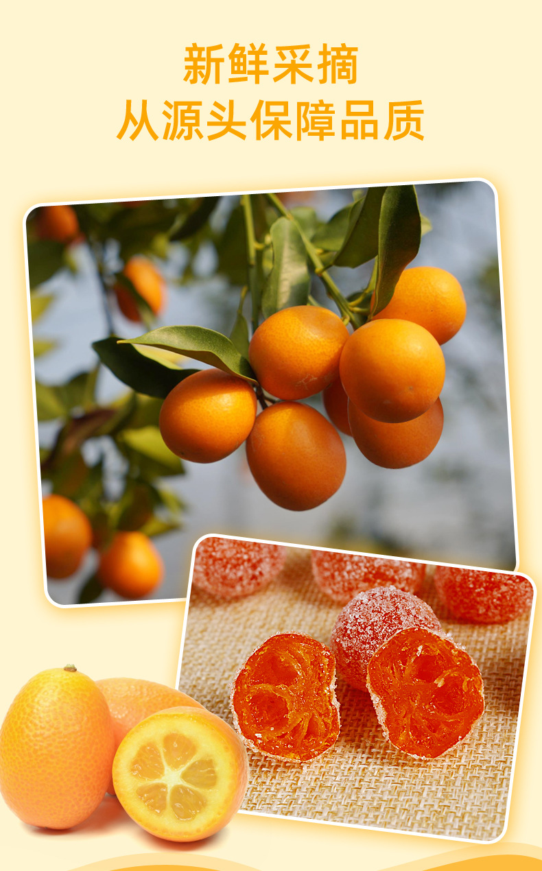 散装天山金桔10斤新疆冰糖雪桔小金橘金桔干反砂蜜桔血桔雪橘批发