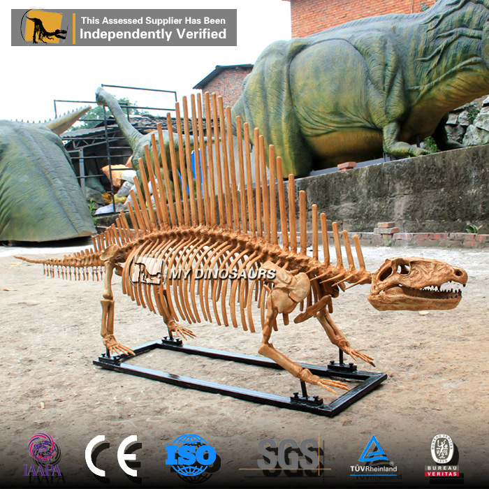 异齿龙骨架 仿真恐龙古生物玻璃钢化石 餐厅景区橱窗摆设模型