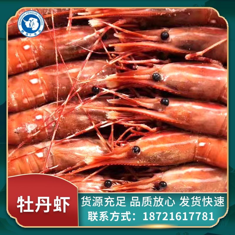 厂家供应加拿大牡丹虾 餐饮生鲜冷冻水产品冷冻虾类 鲜活冷冻海鲜