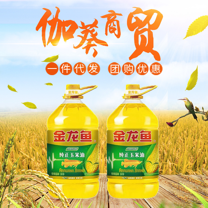 金龙鱼纯正玉米油5l金龙鱼纯正玉米油5l-阿里巴巴
