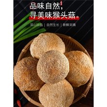 猴头菇新鲜干货官方旗舰店长白山野生猴头菌500g煲汤料猴菇养胃粉