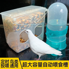 鸽子食槽防撒食罐喂食器自动鸟饮水器自动喂水壶鸽子用具用品大全