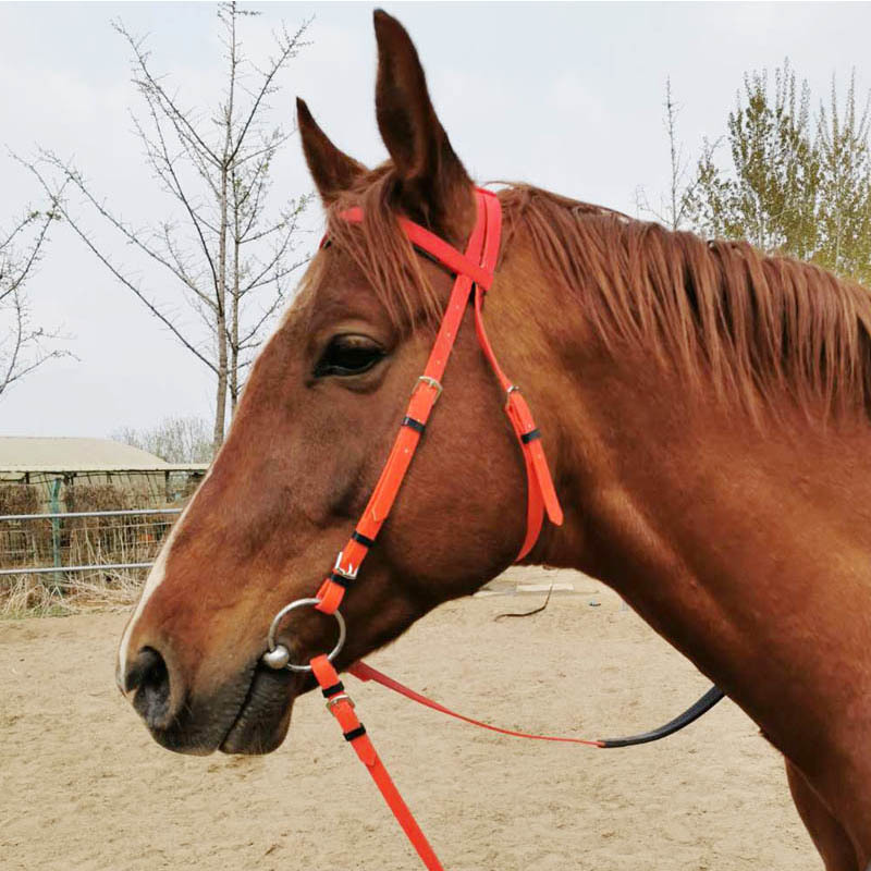 河北马术用品-河北马术用品厂家,品牌,图片,热帖-阿里巴巴