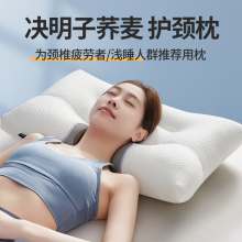 W3TK决明子荞麦皮枕头枕芯护颈椎助睡眠一对家用成人夏天低枕