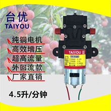 电动喷雾器 农用打药机配件台优大功率大流量回流隔膜水泵电机12V