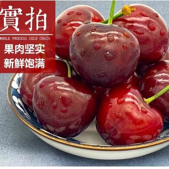 大连大樱桃特大美早现摘现发孕妇水果车厘子新鲜整箱发货顺丰包邮