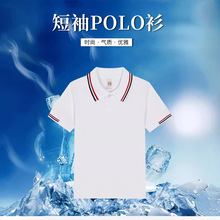 tshirt kids白t恤儿童polo衫短袖全棉男女童翻领白色校服一件代发