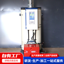 学校工地烧水供暖燃气锅炉 CLHS0.35不锈钢洗涤熨烫立式热水锅炉