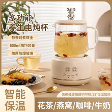 养生壶煮茶专用办公室电动烧水壶电动煮茶器mini厨房电器电茶具