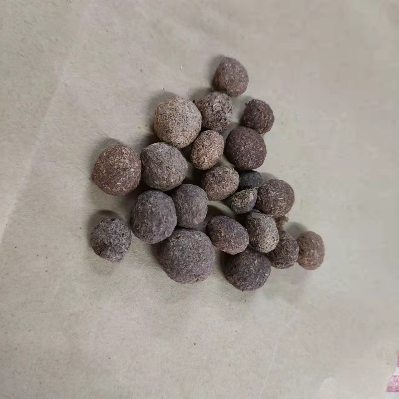 望月砂玩月砂望月沙明月砂中药材