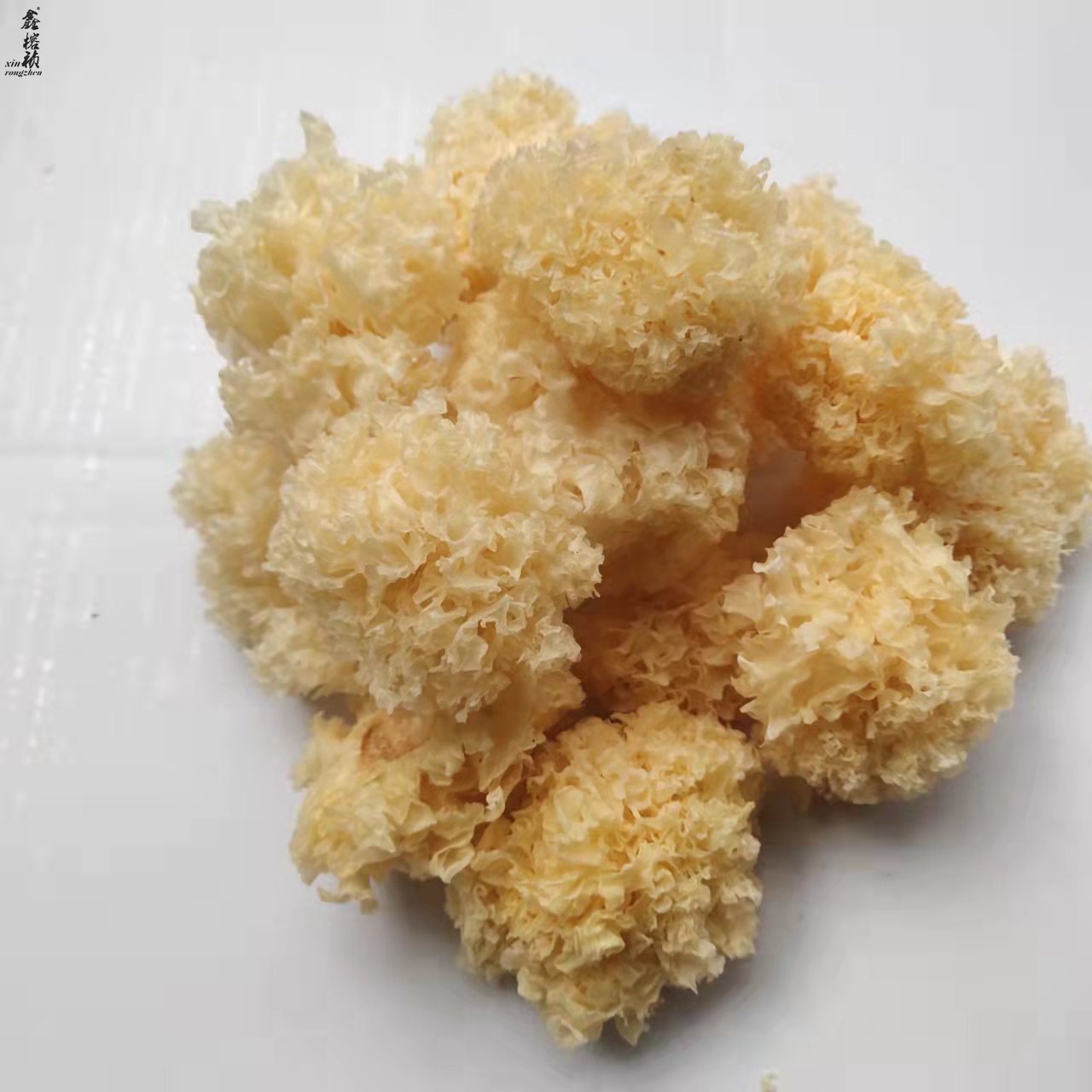 原产地椴木小银耳椴木银耳雪耳糯耳小朵菇农山泉水灌溉自产自销