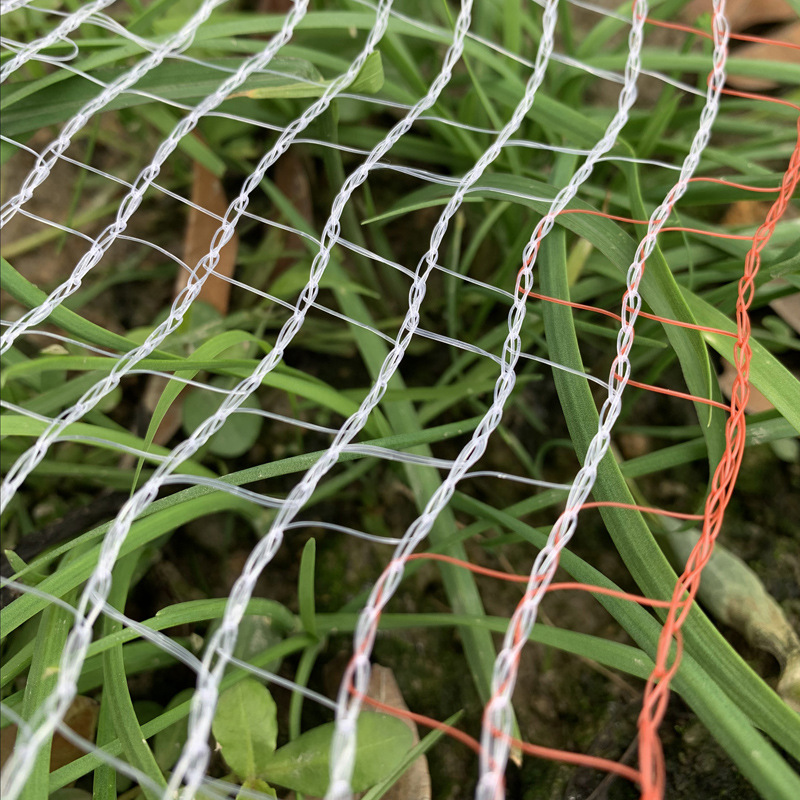 供跨境防鸟网驱鸟网果园网家禽养殖网家庭园艺透明白色樱桃果树网